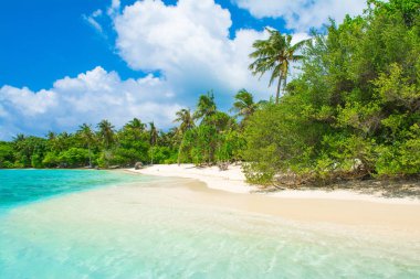 Hint Okyanusu, Maldivler ıssız ada güzel kumlu plaj