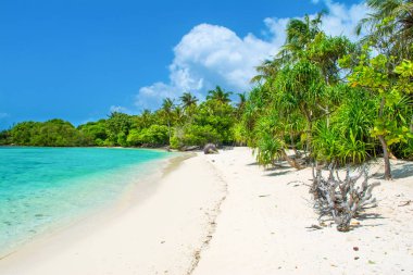 Hint Okyanusu, Maldivler ıssız ada güzel kumlu plaj