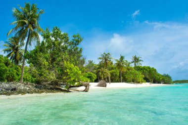 Hint Okyanusu, Maldivler ıssız ada güzel kumlu plaj