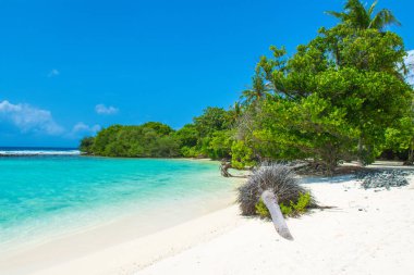 Hint Okyanusu, Maldivler ıssız ada güzel kumlu plaj