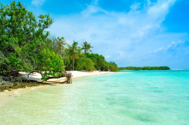 Hint Okyanusu, Maldivler ıssız ada güzel kumlu plaj