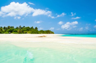 Şezlong ve şemsiyeler Hint Okyanusu, Maldivler Island ile güzel kumlu plaj