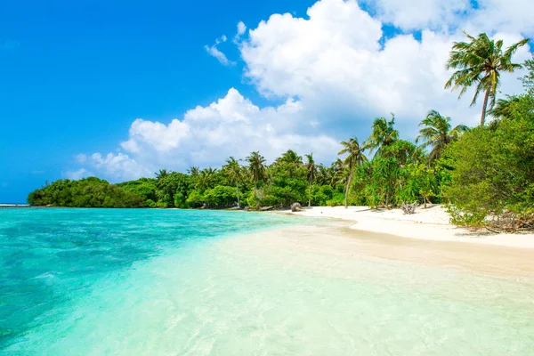 Hermosa Playa Arena Isla Deshabitada Océano Índico Maldivas — Foto de Stock