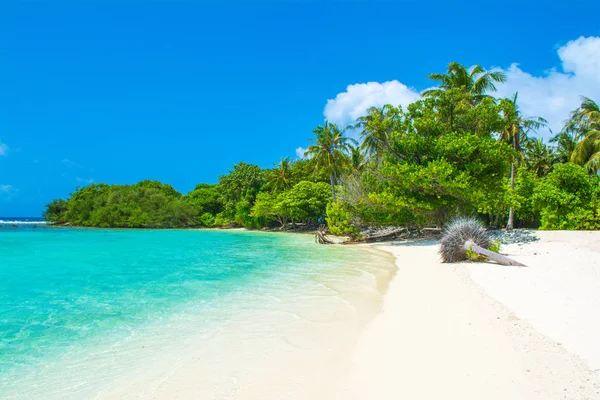 Гарний Піщаний Пляж Безлюдний Острів Індійському Океані Мальдіви — стокове фото
