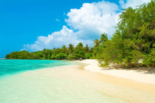 Beautiful Sandy Beach Uninhabited Island Indian Ocean Maldives — Stock Photo, Image