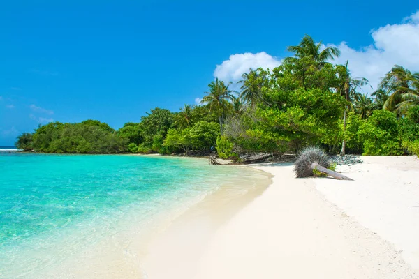 Schöner Sandstrand Auf Unbewohnter Insel Indischen Ozean Malediven — Stockfoto