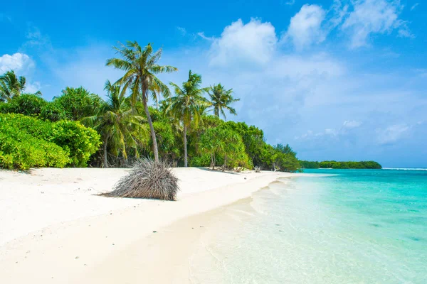 Krásná Písečná Pláž Neobydleném Ostrově Indickém Oceánu Maledivy — Stock fotografie