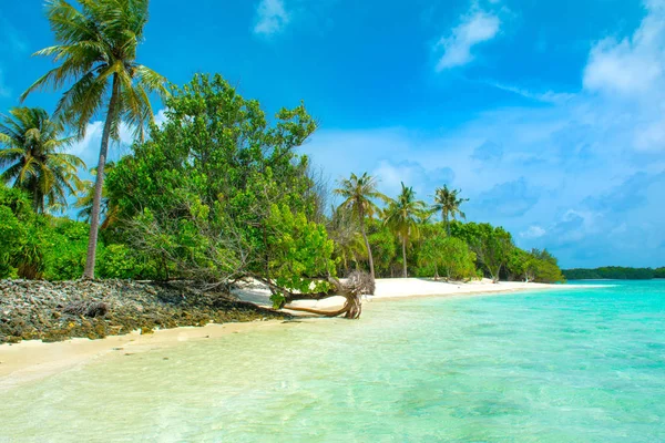 Krásná Písečná Pláž Neobydleném Ostrově Indickém Oceánu Maledivy — Stock fotografie