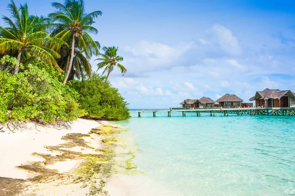 Hermoso Paisaje Villas Sobre Agua Maldivas Isla Océano Índico — Foto de Stock