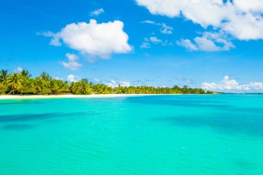 Şezlong ve şemsiyeler Hint Okyanusu, Maldivler Island ile güzel kumlu plaj