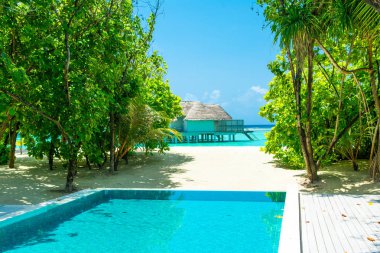 Lhaviyani Atoll, Maldives - 13 Temmuz 2018: havuzda şezlong ve şemsiyeler palmiye ağaçları gölgesinde ile Hint Okyanusu kıyısında alanı