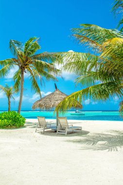Şezlong ve şemsiyeler Hint Okyanusu, Maldivler Island ile güzel kumlu plaj