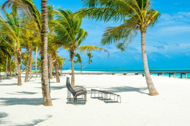 Şezlong ve şemsiyeler Hint Okyanusu, Maldivler Island ile güzel kumlu plaj