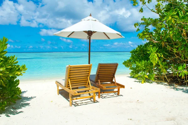 Şezlong Şemsiyeler Hint Okyanusu Maldivler Island Ile Güzel Kumlu Plaj — Stok fotoğraf