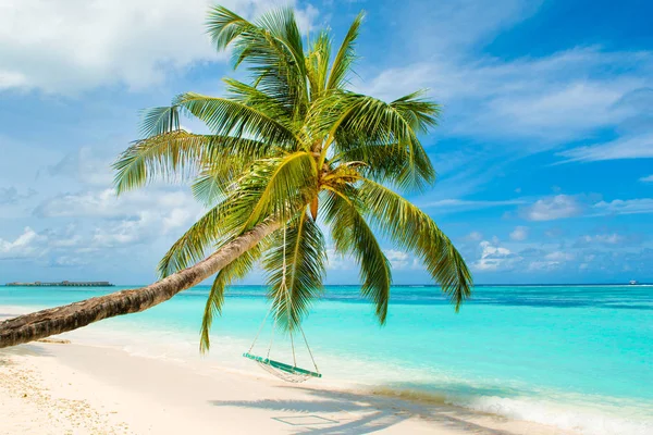 Güzel manzara kumlu plaj Hint Okyanusu'nda ve ahşap salıncak bir ip üzerinde bir palmiye ağacı üzerinde