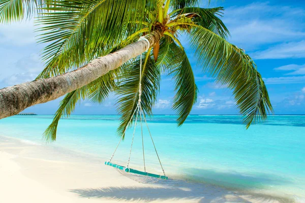 Красивый Пейзаж Песчаного Пляжа Индийском Океане Деревянные Качели Веревке Пальме — стоковое фото