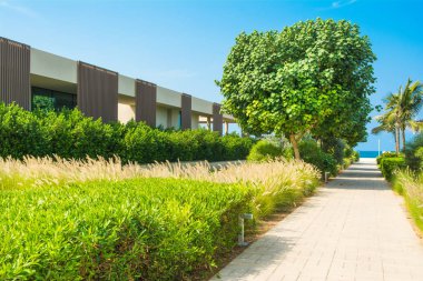 Ajman, Birleşik Arap Emirlikleri - 30 Ekim 2018: modern tasarım Villa ve Al Zorah kıyı şeridi lüks otelin bahçesinde, yatay 