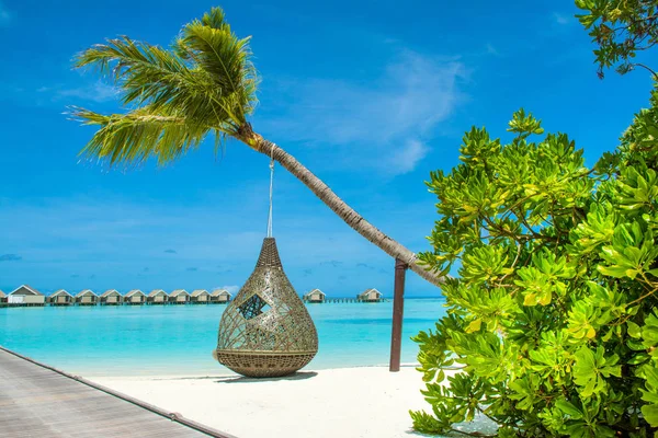 Üzerine su Villa ve palm, Maldivler Island, Hint Okyanusu salıncakta güzel manzara