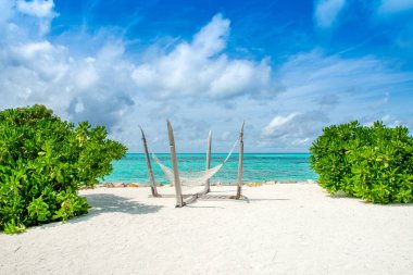 Hint Okyanusu, Maldivler Island hamakta ile güzel kumlu plaj