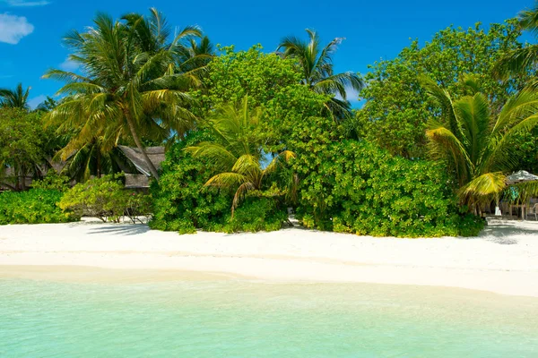 Hermoso Paisaje Desierta Playa Arena Del Océano Índico Sombra Palmeras — Foto de Stock