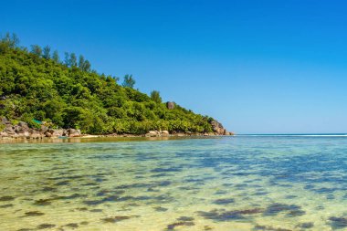 Kayalık bir plaj güzel tropikal manzara, Seyşeller