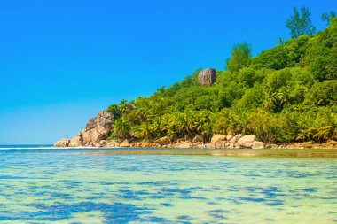 T kıyılarında yeşil tepeler ile güzel tropikal manzara