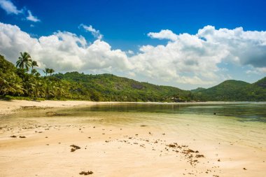 Kumlu bir plajın güzel tropik manzarası, Seyşeller