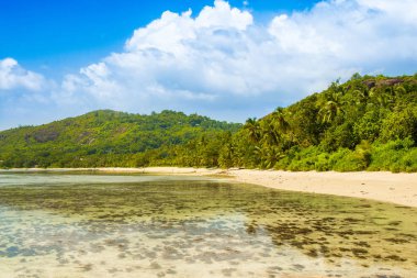Kumlu bir plajın güzel tropik manzarası, Seyşeller