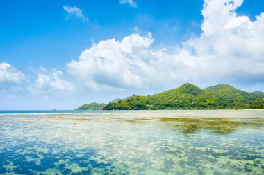 T kıyılarında yeşil tepeler ile güzel tropikal manzara