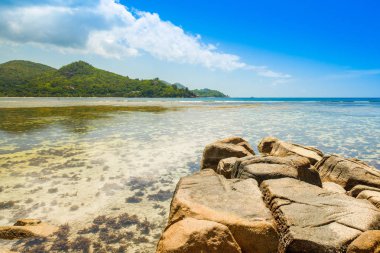 Kayalık bir plaj güzel tropikal manzara, Seyşeller