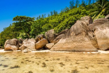 Sahilde dev granit kayalar