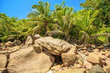 Sahilde dev granit kayalar