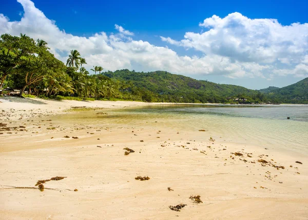 Beau paysage tropical d'une plage de sable fin, Seychelles — Photo