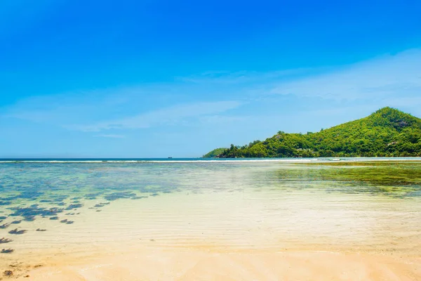 T kıyılarında yeşil tepeler ile güzel tropikal manzara