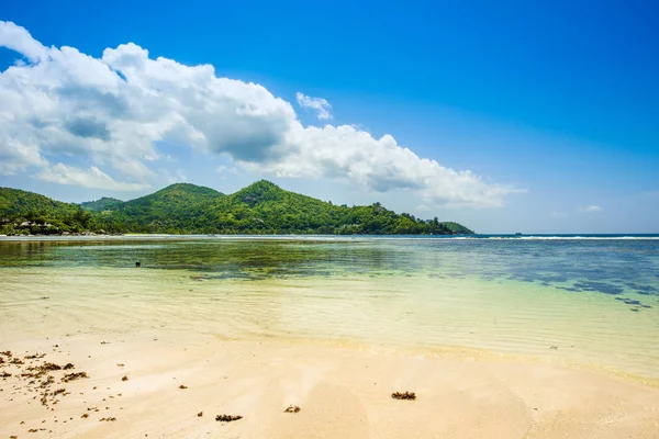Kumlu bir plajın güzel tropik manzarası, Seyşeller