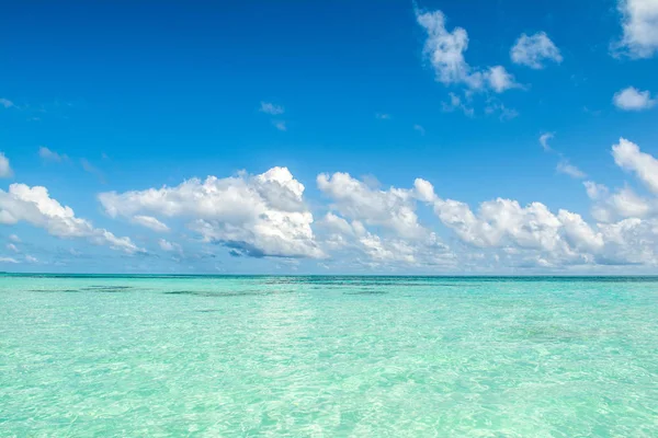 Beautiful landscape of the sandy beach, Maldives island