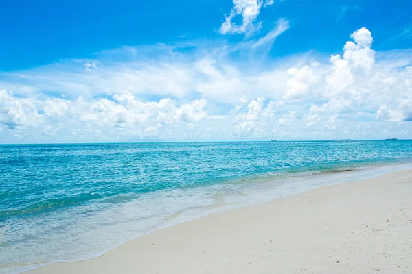 Maldivler Adası, kumlu plajın güzel manzarası
