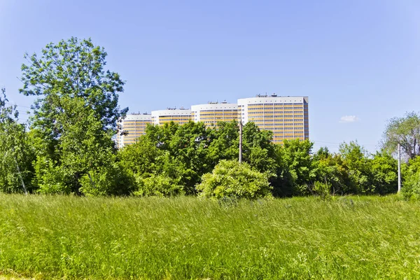 夏の公園のモダンな高層ビルの横の写真 — ストック写真