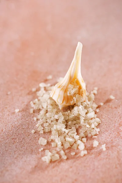 法国灰海盐与贝壳粉红色 — 图库照片