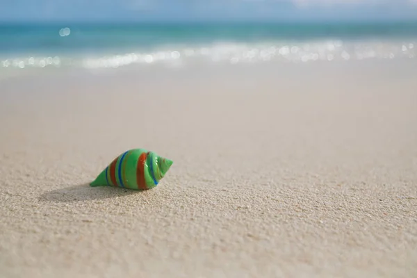 Tropische Muschel Aus Glas Mit Wellen Unter Sonnenlicht — Stockfoto