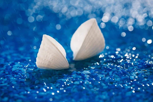 Білі Екзотичні Черепашки Блакитній Гальки Під Краплями Води — стокове фото