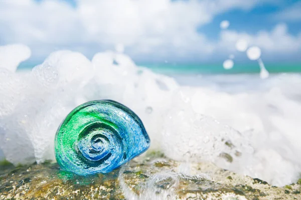 Coquillage Tropical Verre Avec Des Vagues Sous Soleil — Photo