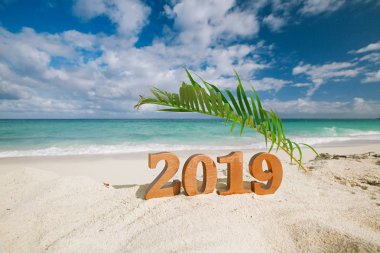 2019 numaraları harflerle palmiye yaprağı, okyanus, plaj ve deniz manzarası