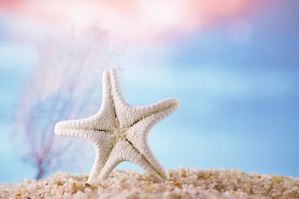 Vita Sjöstjärna Sand Med Tropiska Ocean Underwater Seascape — Stockfoto