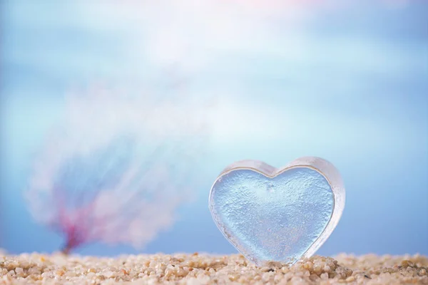 Cuore Vetro Trasparente Con Oceano Tropicale Sottomarino Paesaggio Marino — Foto Stock