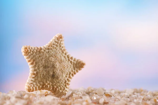 Piccole Stelle Marine Sulla Spiaggia Bianca Dell Oceano Con Sfondo — Foto Stock