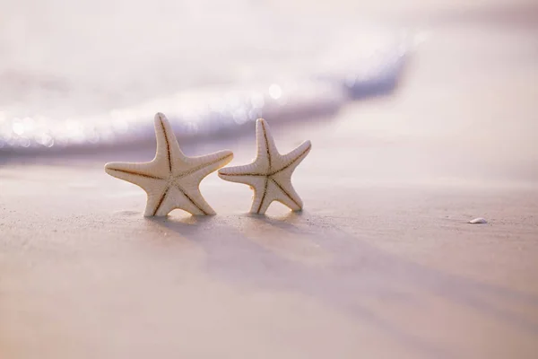 Due Stelle Marine Sulla Spiaggia Dell Oceano Dolce Dolce Alba — Foto Stock