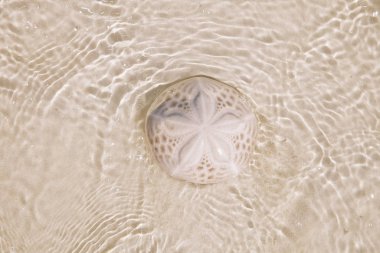 deniz dalgaları altında plaj kum kum kum u