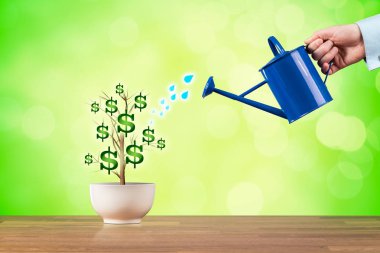 Dolar gelir büyüme kavramı. Cfo, yatırımcı, hissedar tarafından sulanan ve benzer bitki tarafından temsil edilen gelir büyüme.