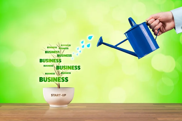 Start Tillväxt Affärsidé Småföretag Start Tillväxt Representeras Växten Vattnas Affärsman — Stockfoto